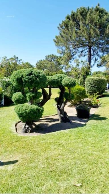 Victory Village Club,Quinta Do Lago Loule Bagian luar foto